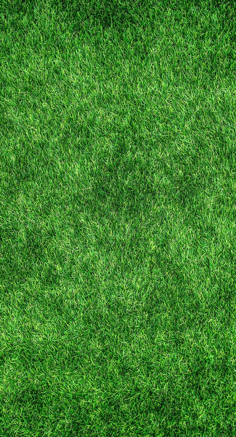 Eco-Friendly Pesticides