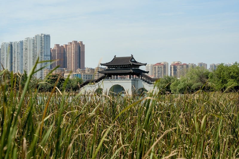 City Park